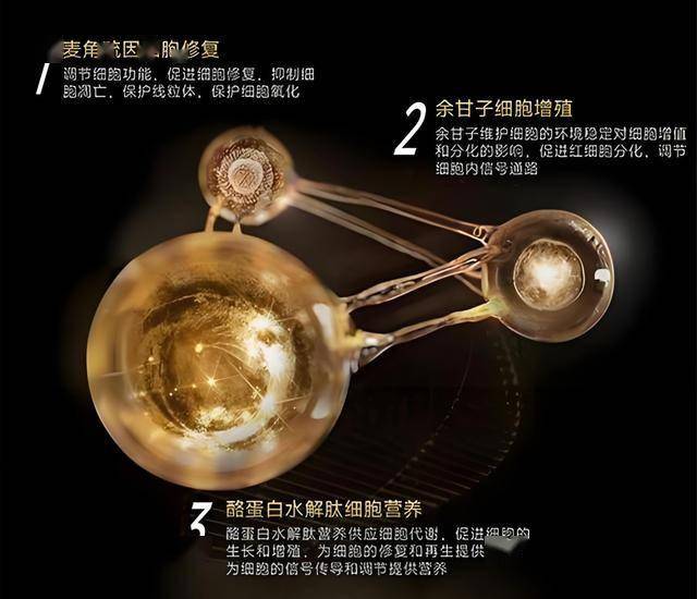 ic外汇平台代理定州市召开核心项目规划设计计划汇报会